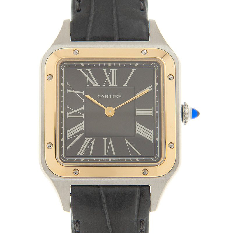 Cartier W2SA0015 1