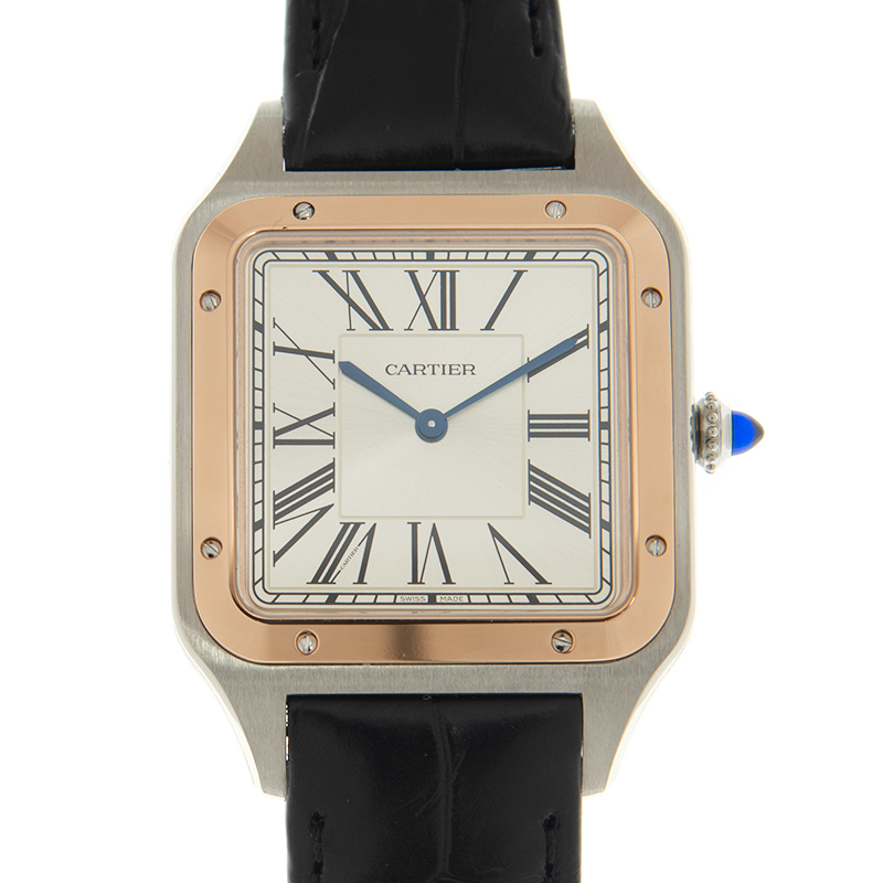 Cartier W2SA0017 1