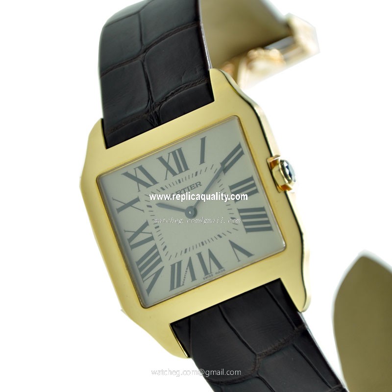 Cartier W2008751 2