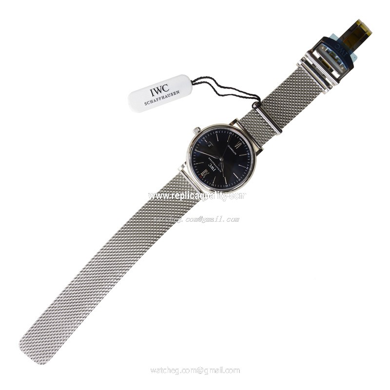 IWC IW356506 2