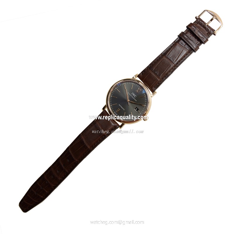 IWC IW356511 2