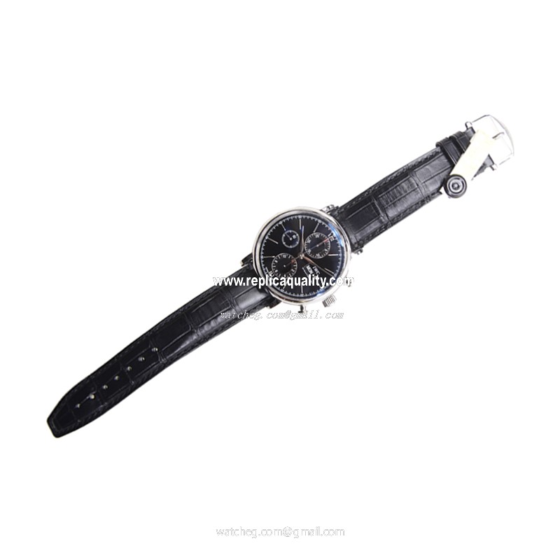 IWC IW391008 2