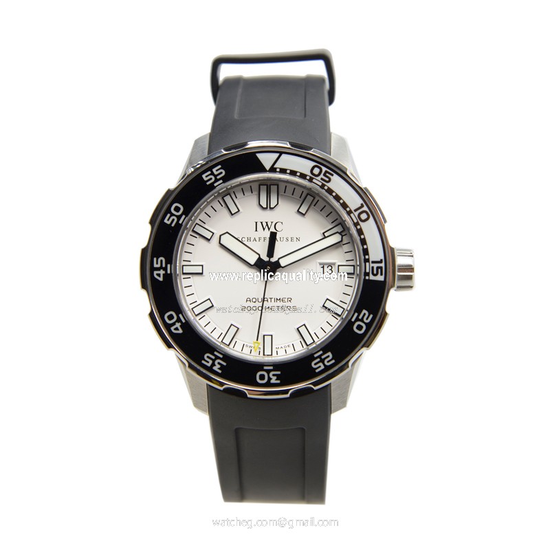 IWC IW356806 2