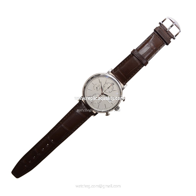 IWC IW391007 2