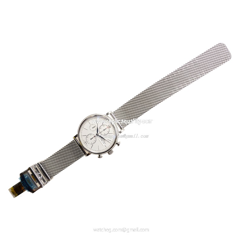 IWC IW391009 2