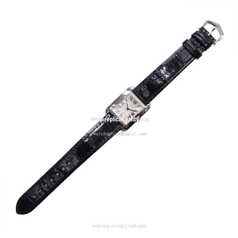 Cartier W5310029 2
