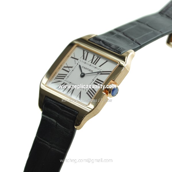 Cartier W2009251 2