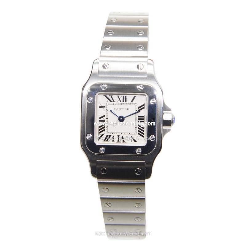 Cartier W20056D6 2