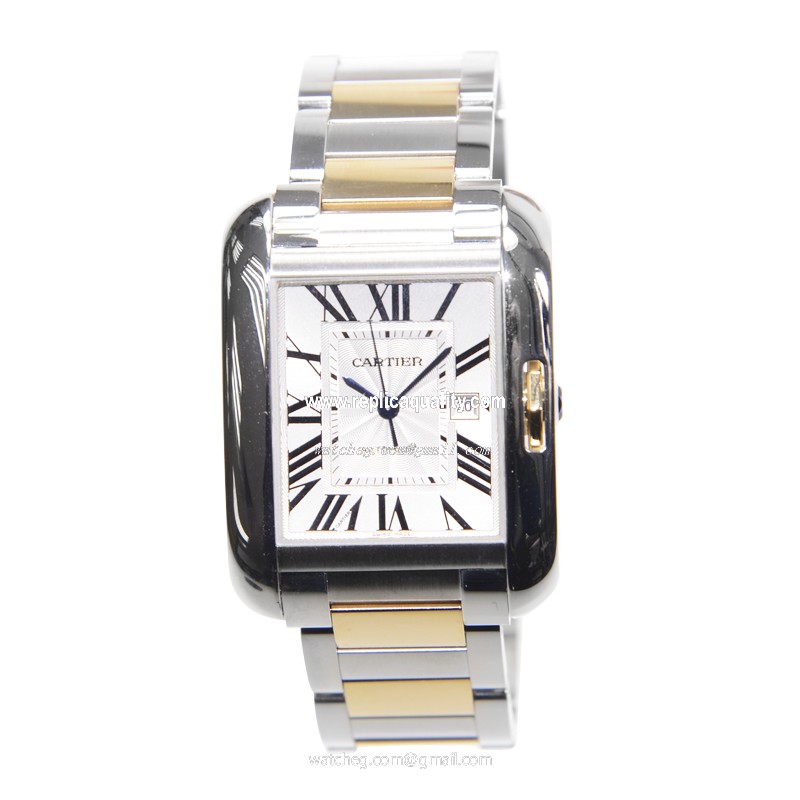 Cartier W5310047 2
