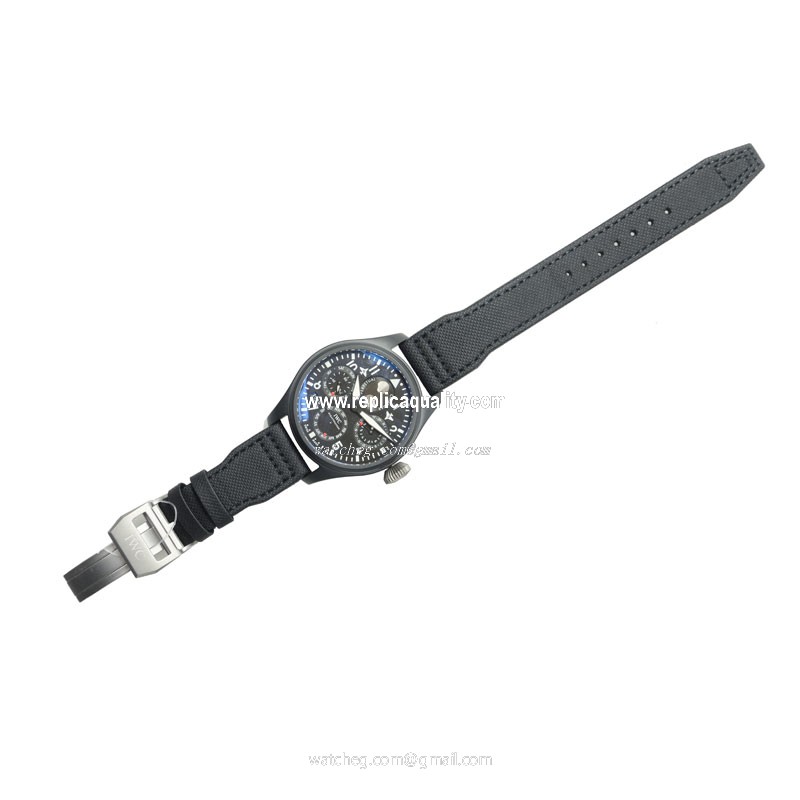 IWC IW502902 2