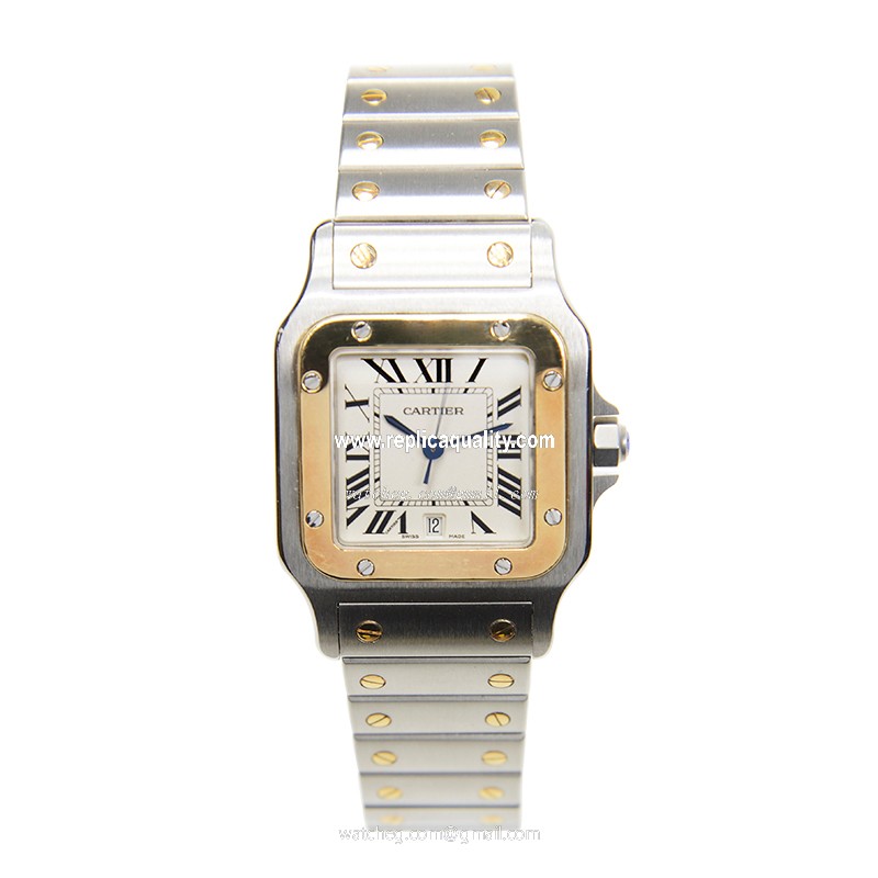 Cartier W20011C4 2
