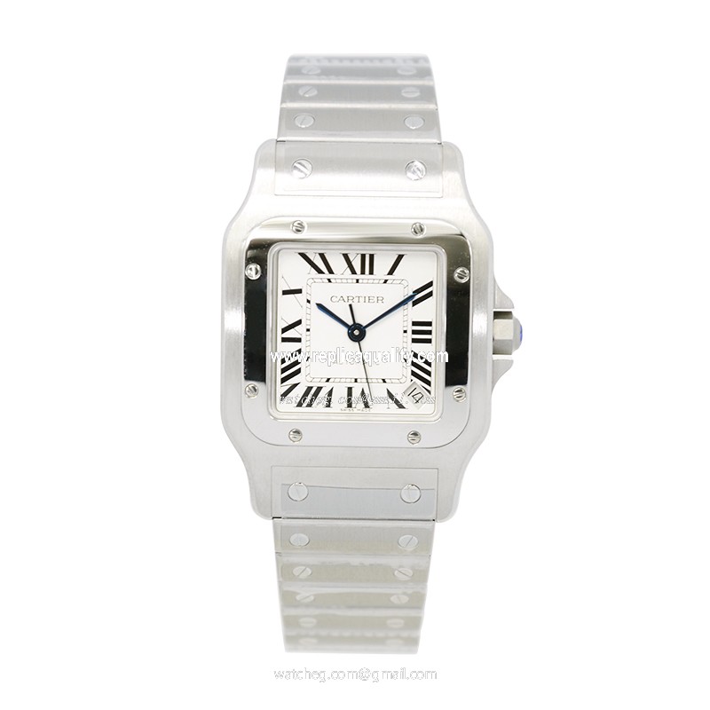 Cartier W20098D6 2