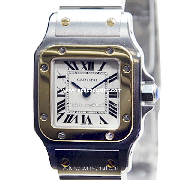 Cartier W20012C4 2