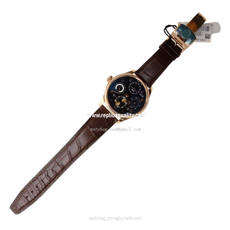 IWC IW503202 2