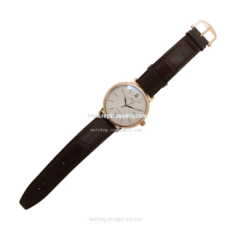 IWC IW356504 2