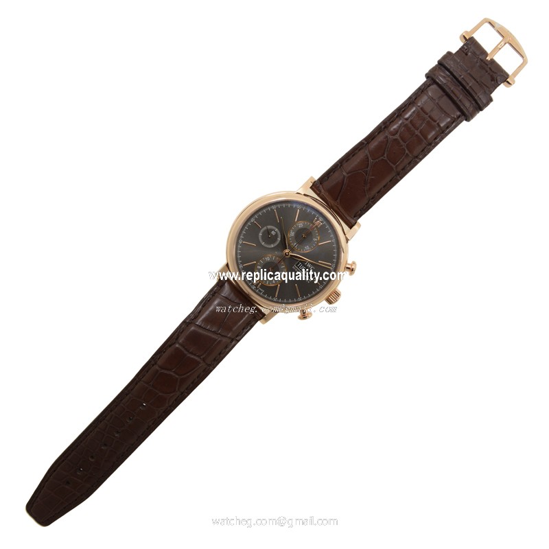 IWC IW391021 2