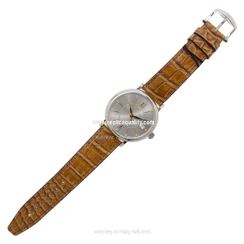 IWC IW458101 2
