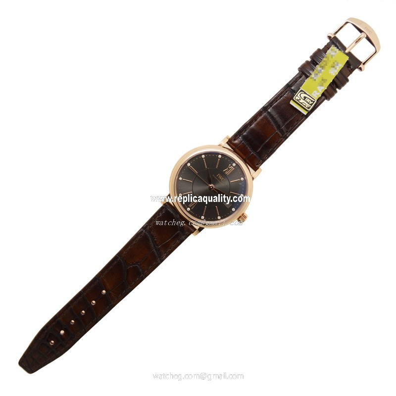 IWC IW458106 2