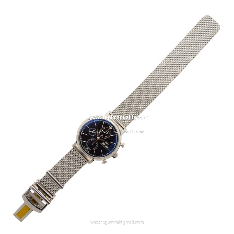 IWC IW391006 2