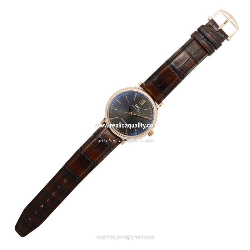 IWC IW356516 2