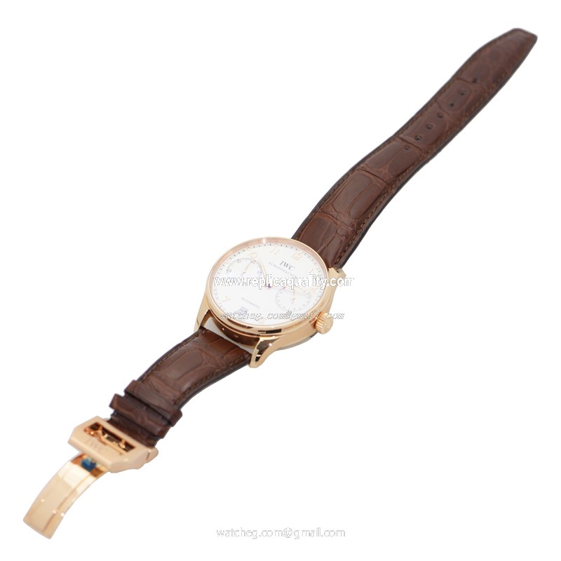 IWC IW500113 2