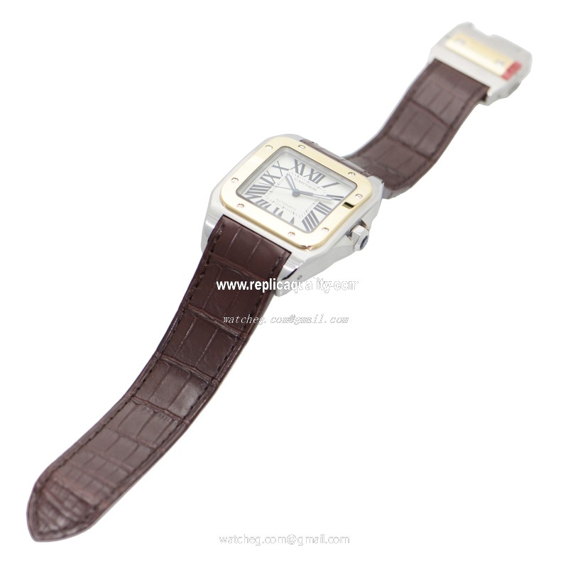 Cartier W20072X7 2