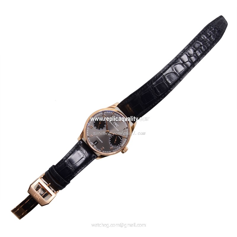 IWC IW500125 2