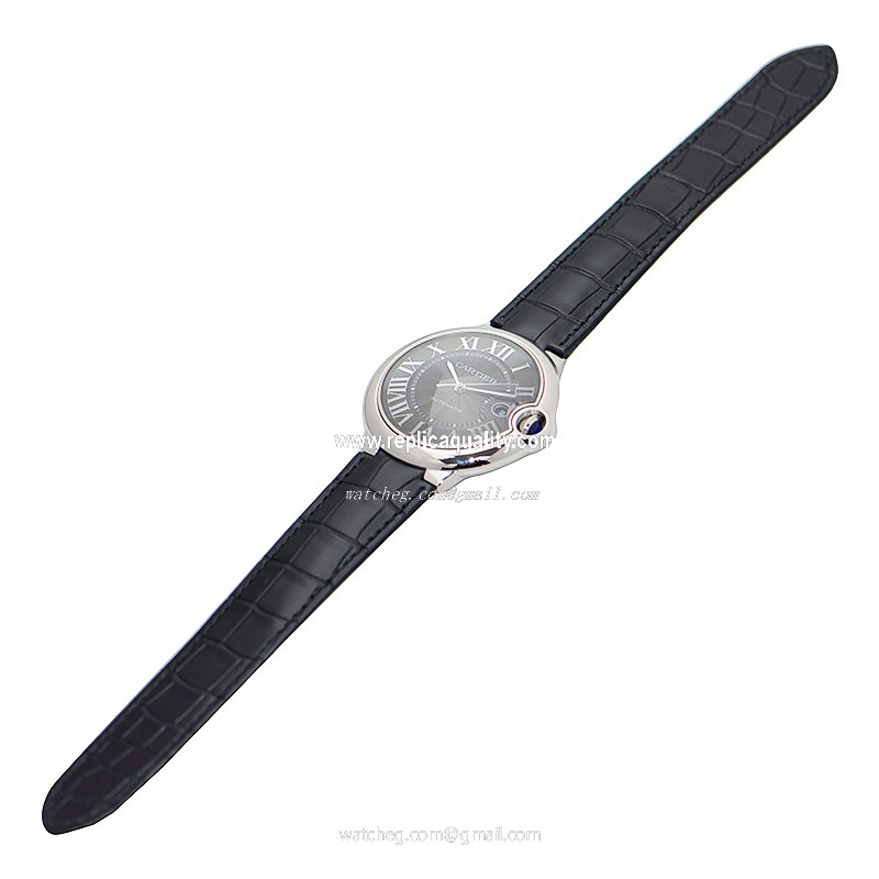 Cartier WSBB0003 2