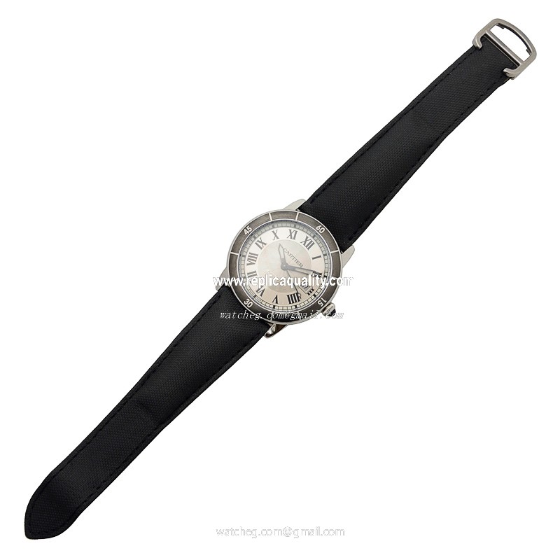 Cartier WSRN0002 2