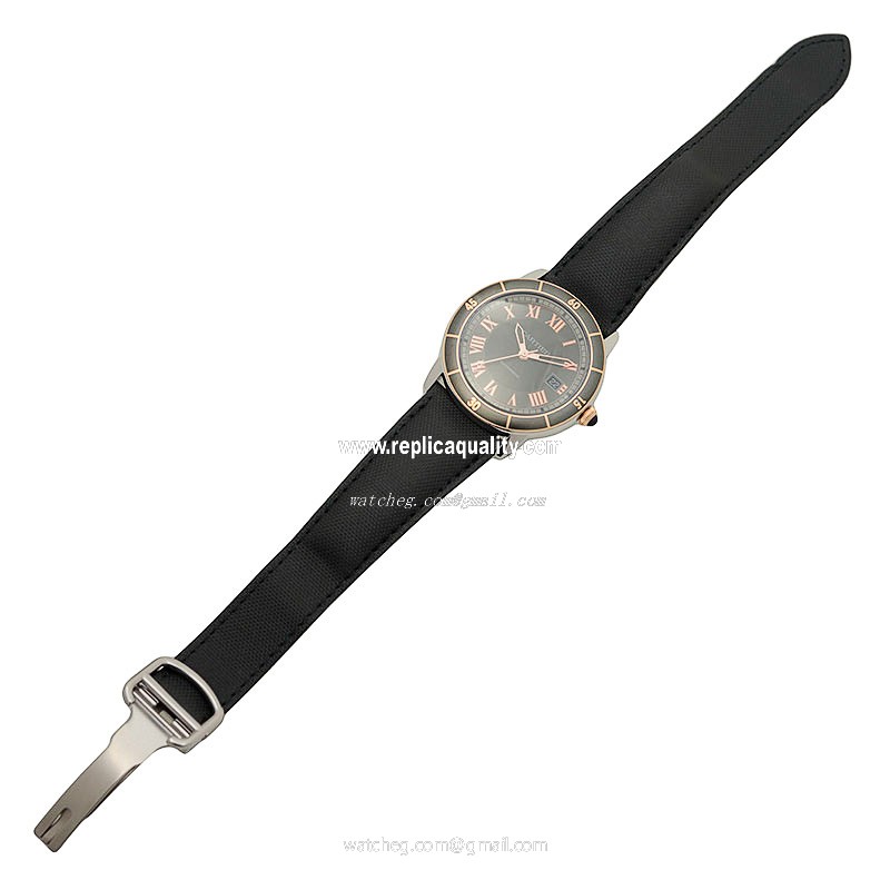 Cartier W2RN0005 2