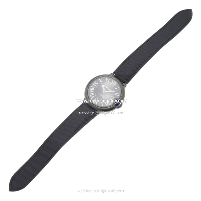 Cartier WSBB0015 2