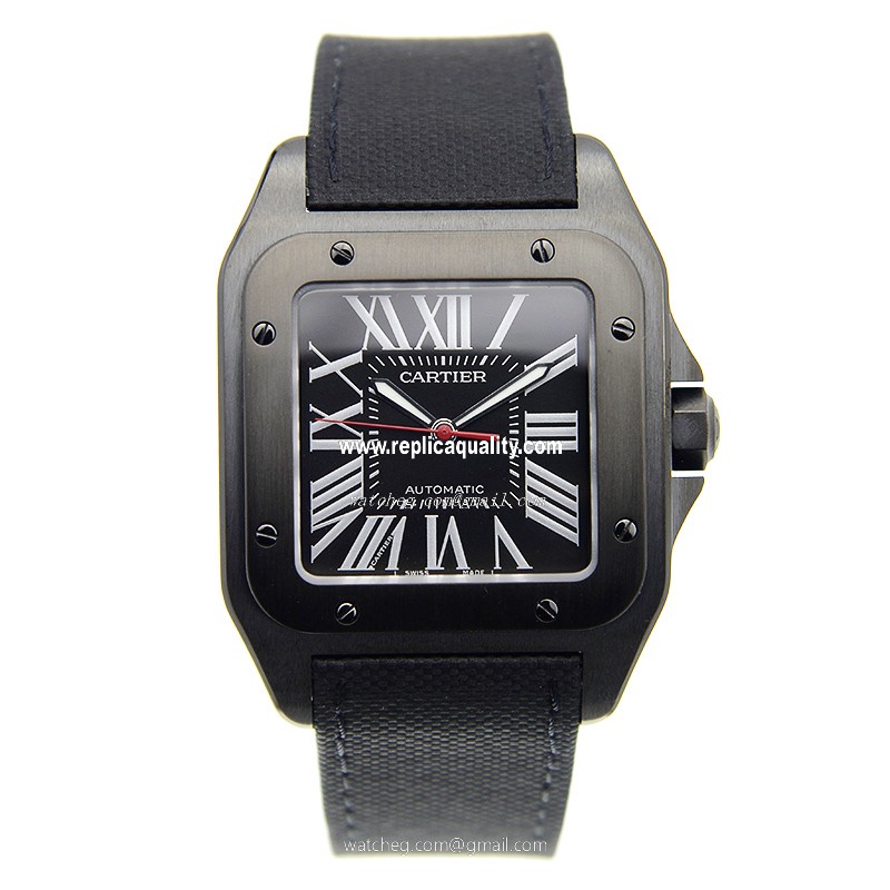 Cartier WSSA0006 2
