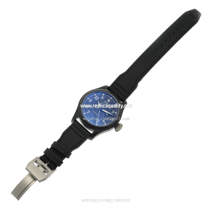 IWC IW502001 2