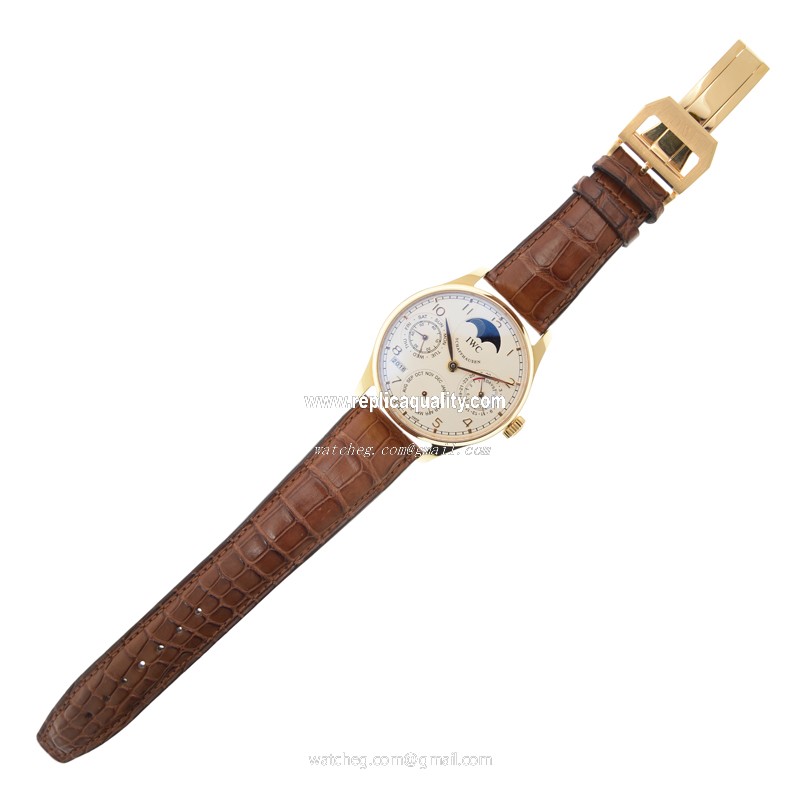 IWC IW502213 2