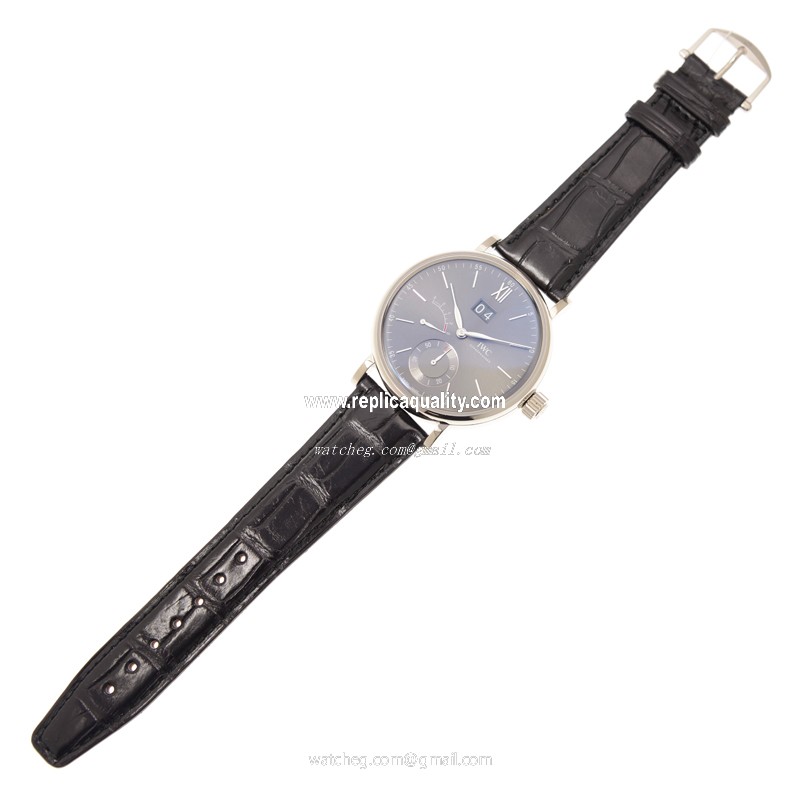IWC IW516101 2