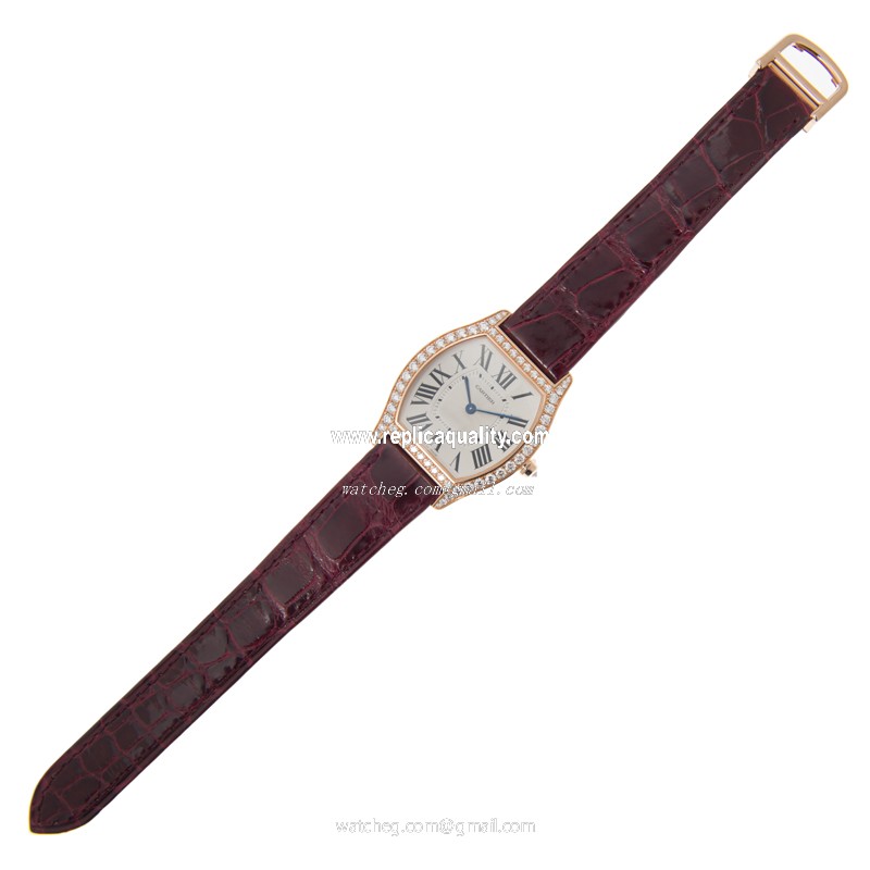 Cartier WA501008 2