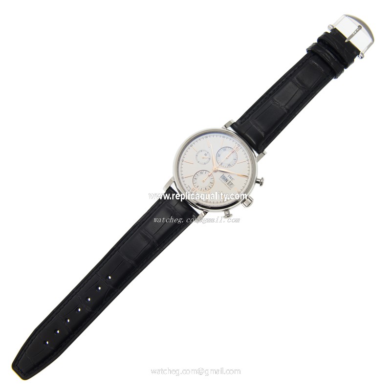 IWC IW391022 2