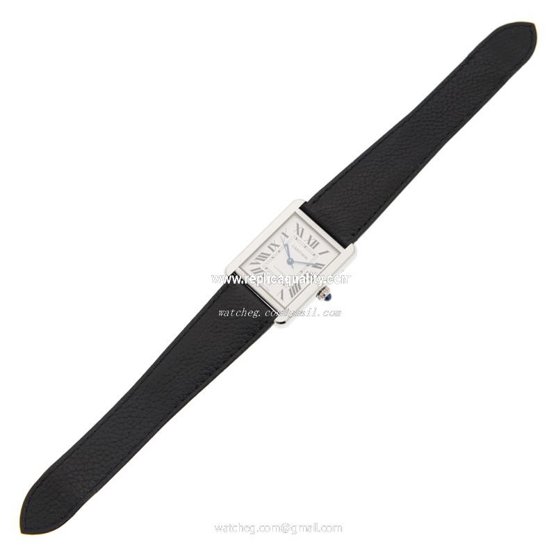 Cartier WSTA0029 2