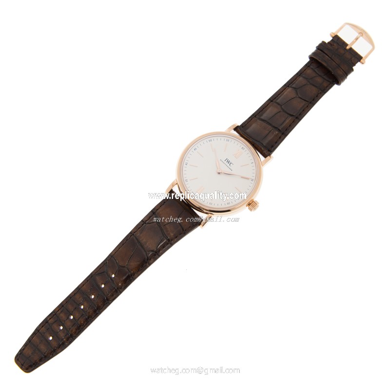 IWC IW511102 2