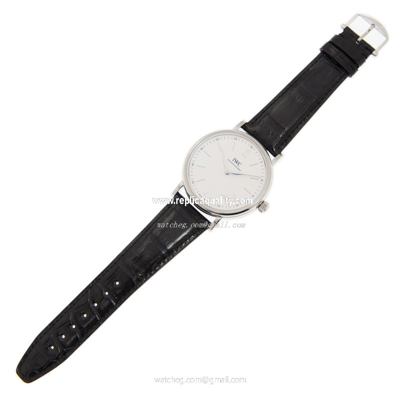 IWC IW511102 2