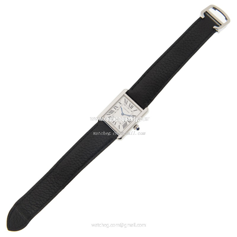 Cartier WSTA0030 2