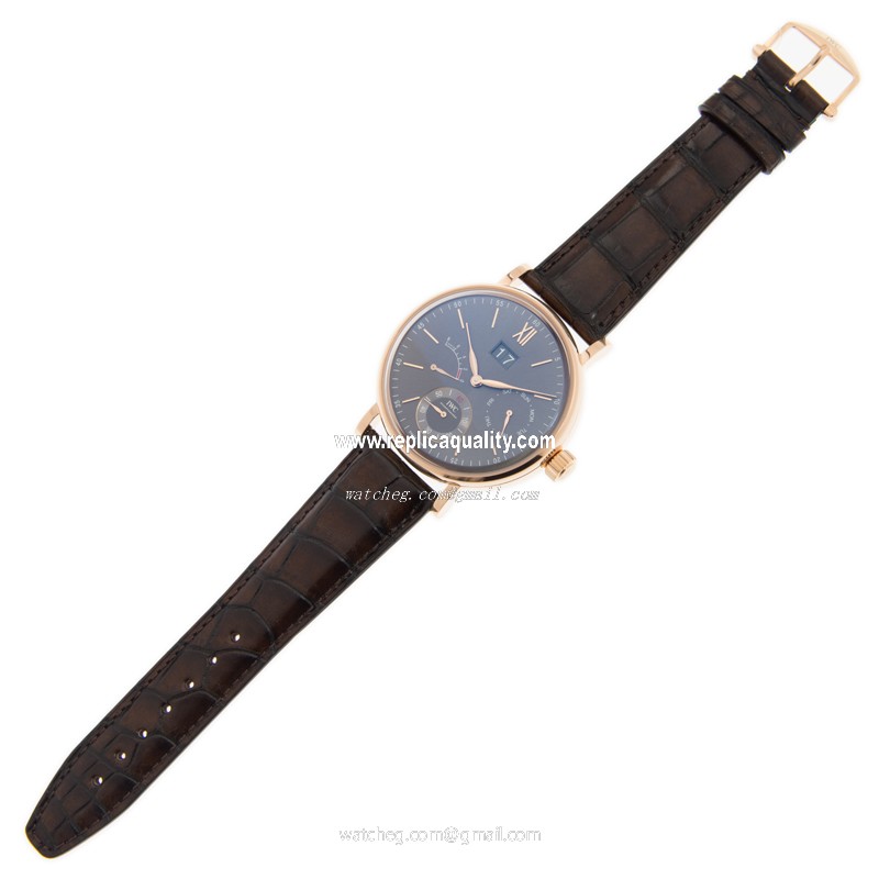 IWC IW516203 2