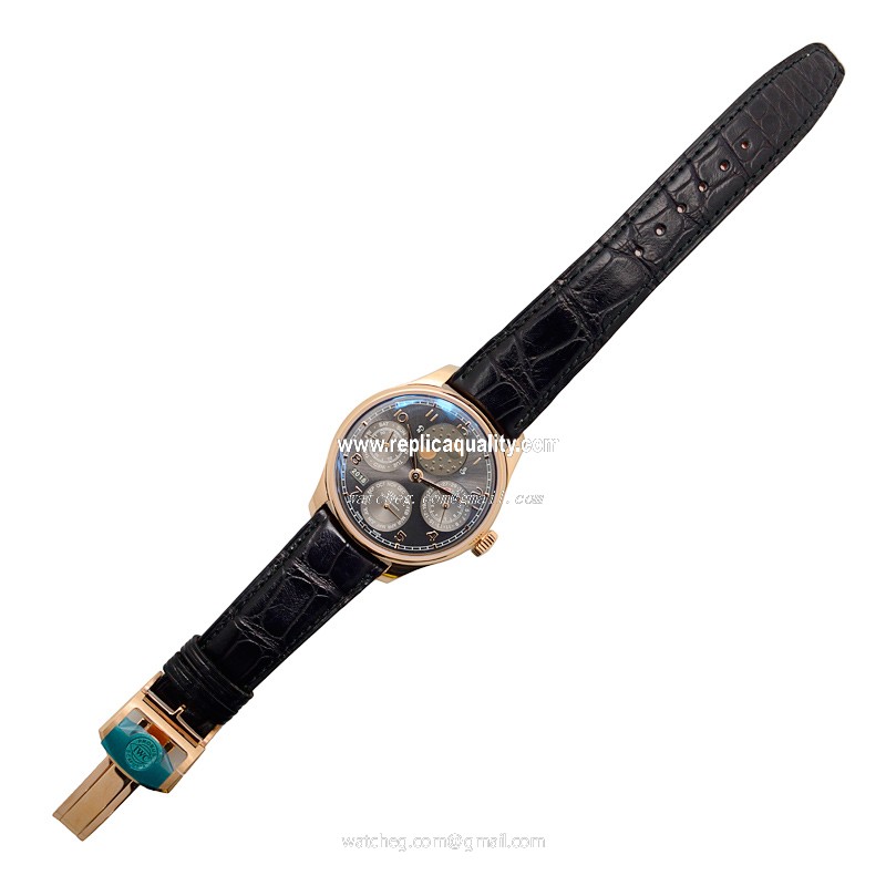 IWC IW503404 2