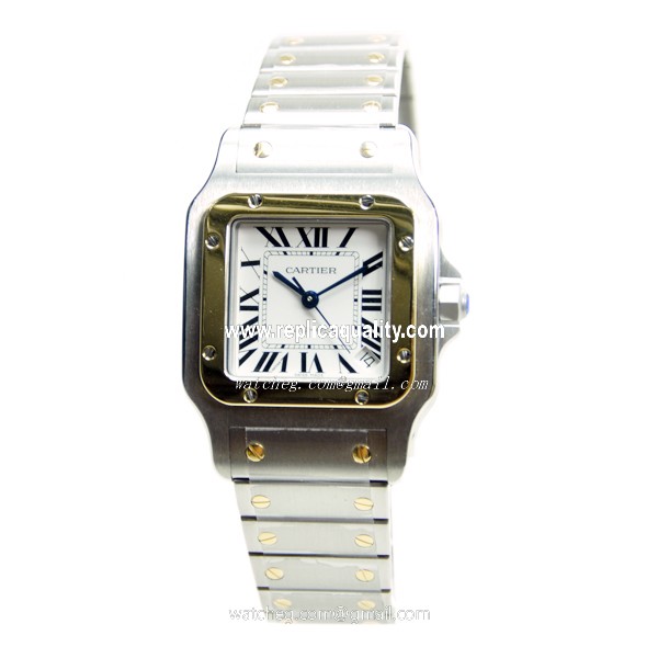 Cartier W20099C4 2