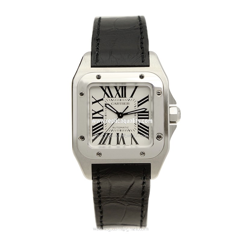 Cartier W20106X8 2