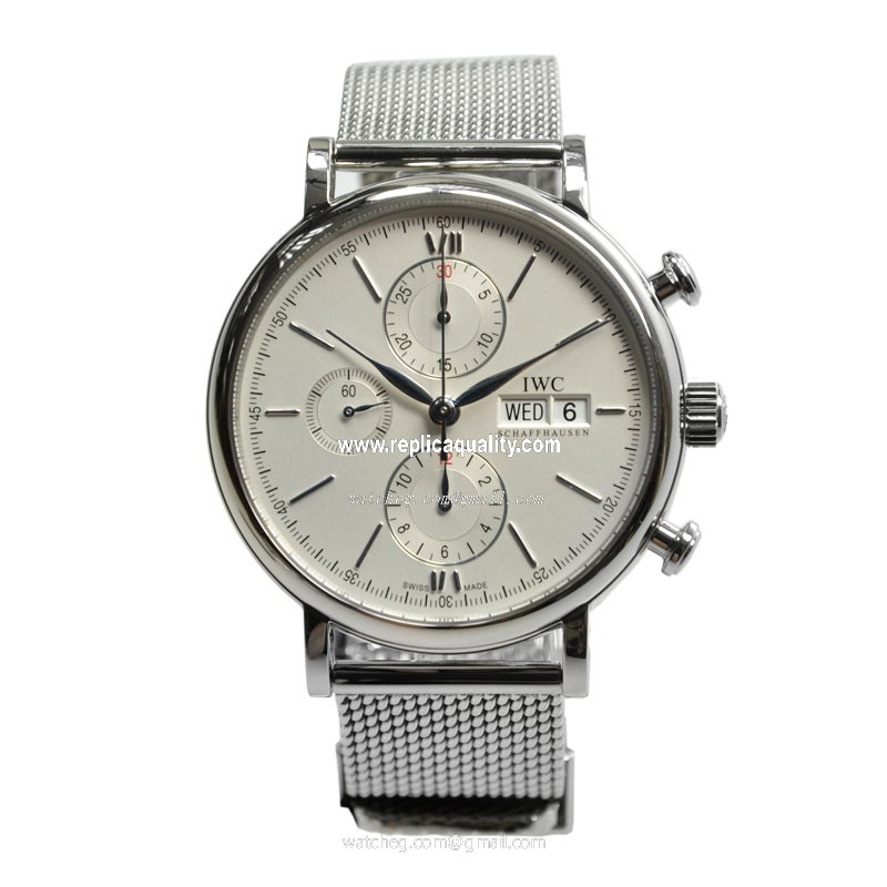IWC IW391005 2