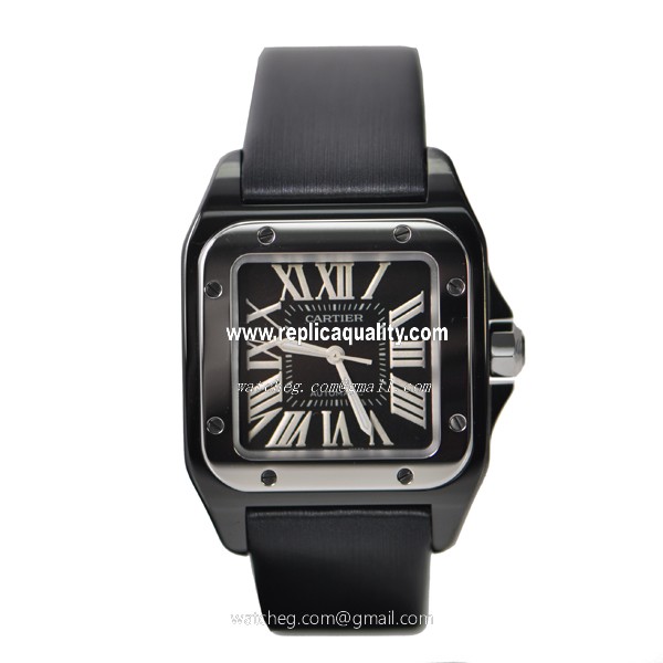 Cartier W2020008 2