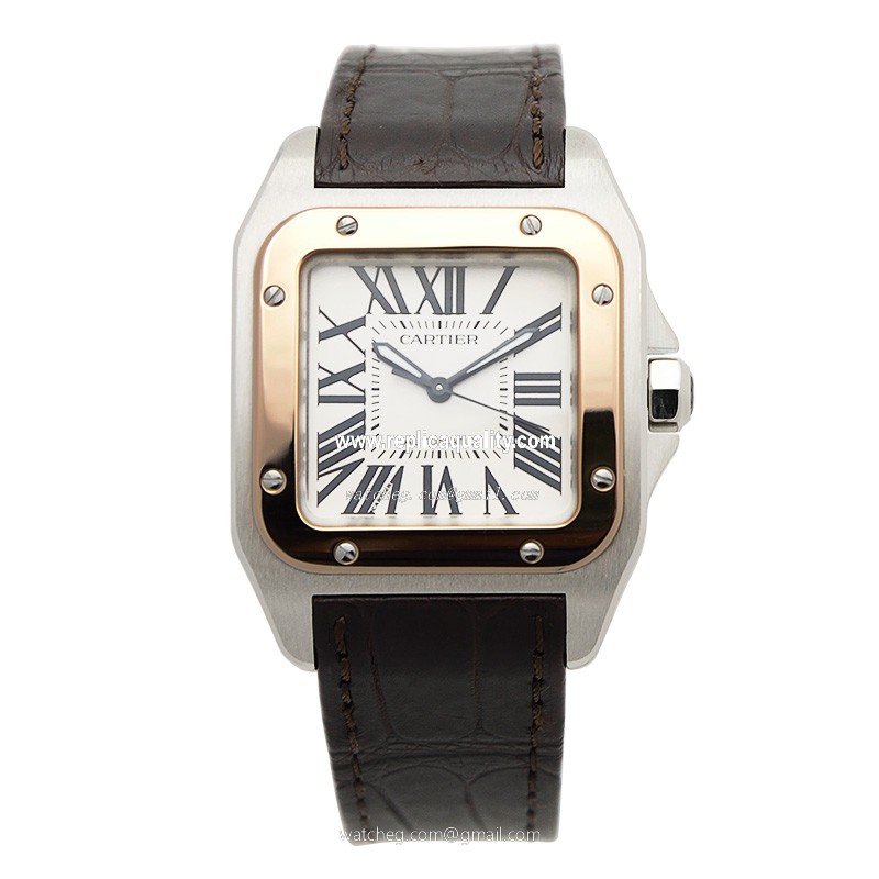Cartier W20107X7  2
