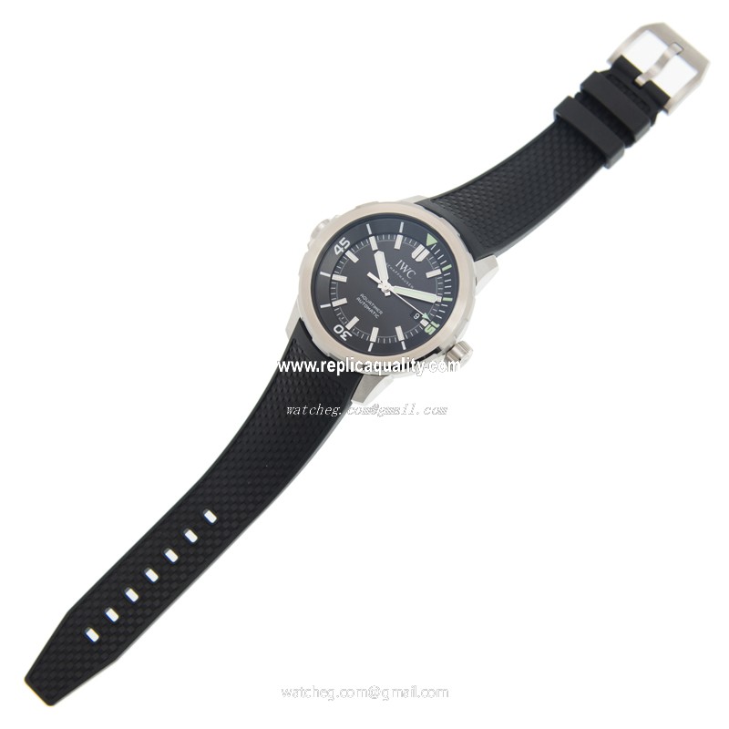 IWC IW329001 2