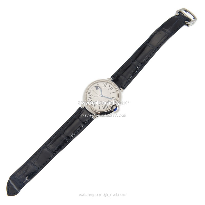 Cartier WSBB0020 2
